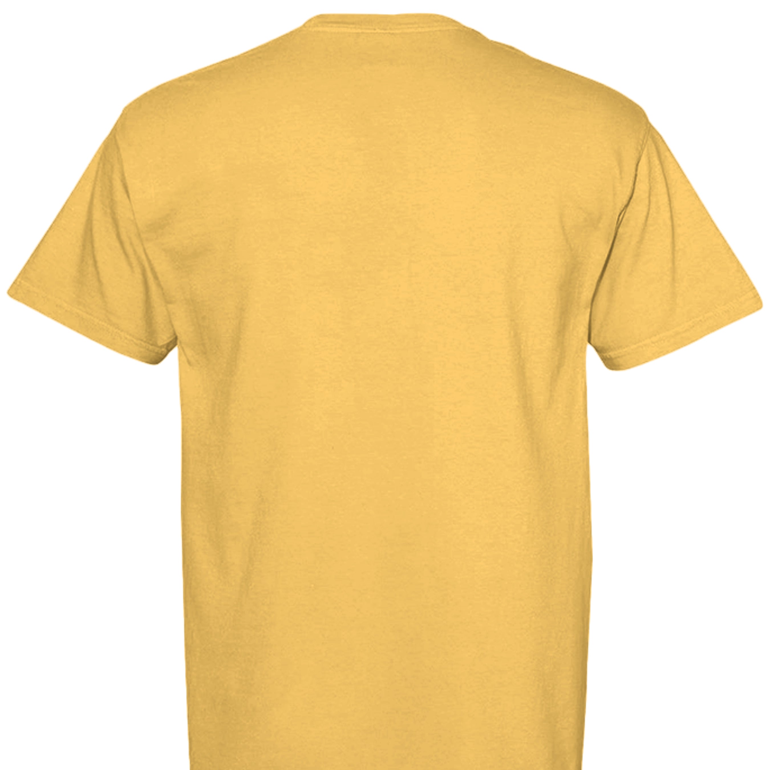 CITRUS - C1717 - BACK